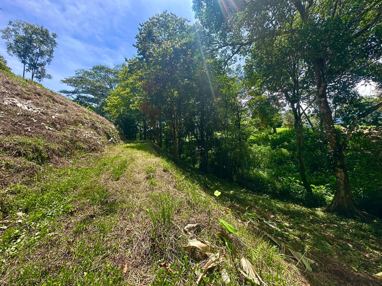 Build-Ready Lot in Ojochal’s Calle Cacique | Easy Access & Stunning Mountain Views