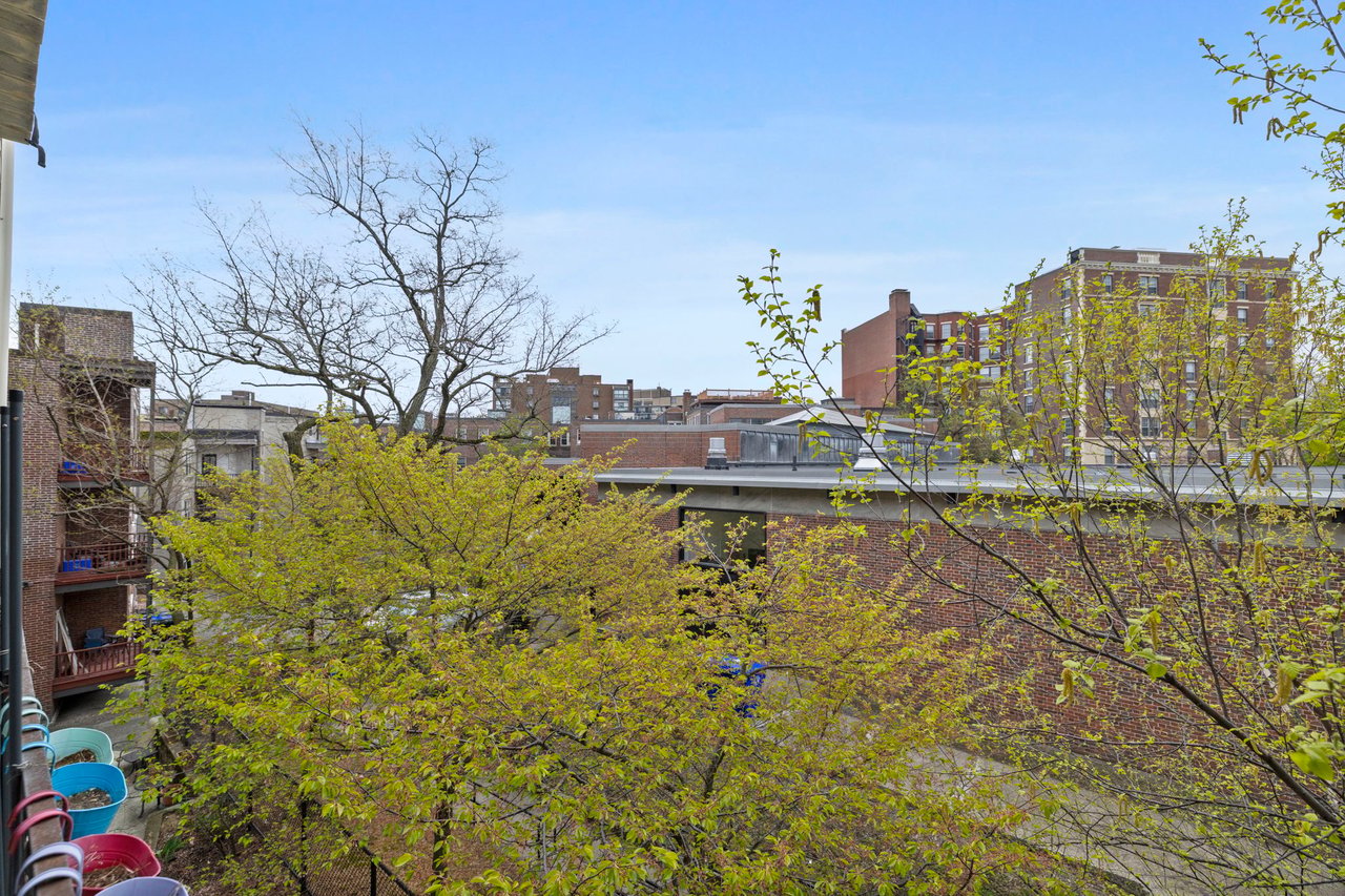 Coolidge Corner Condo