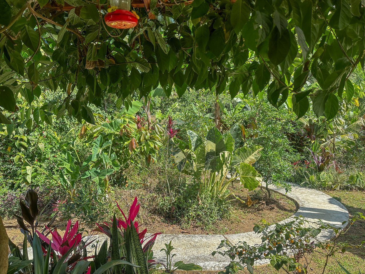 Tinamastes Costa Rica Property with Home, Yoga Deck & Land