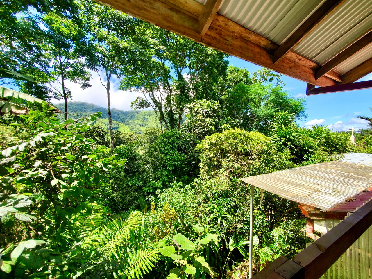 Vista Tucana | San Luis | 3 Bed |1 Bath