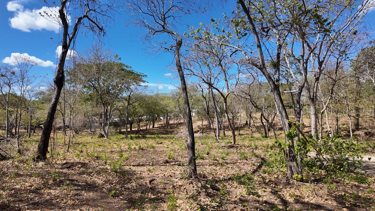 Grande Reserve Lot 21 - Playa Grande