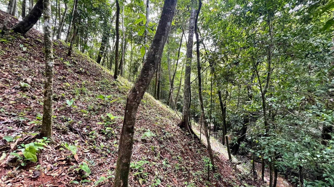 Half Acre Lot in Platanillo, Minutes to the beach of Dominical