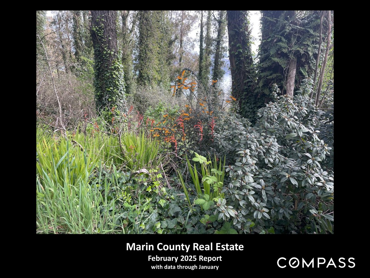 Marin County Real Estate February 2025 Report