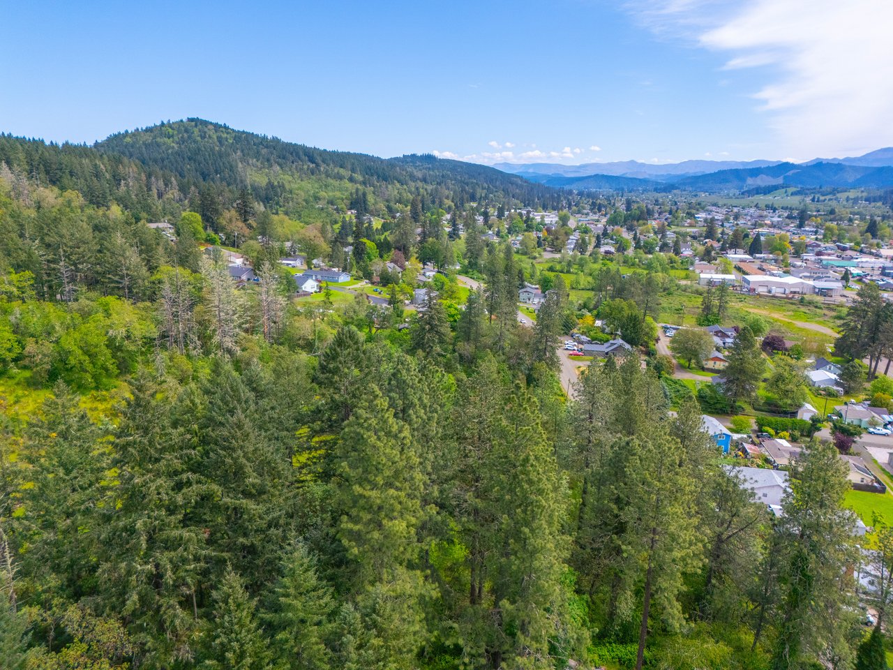 SUTHERLIN WOODLOTS