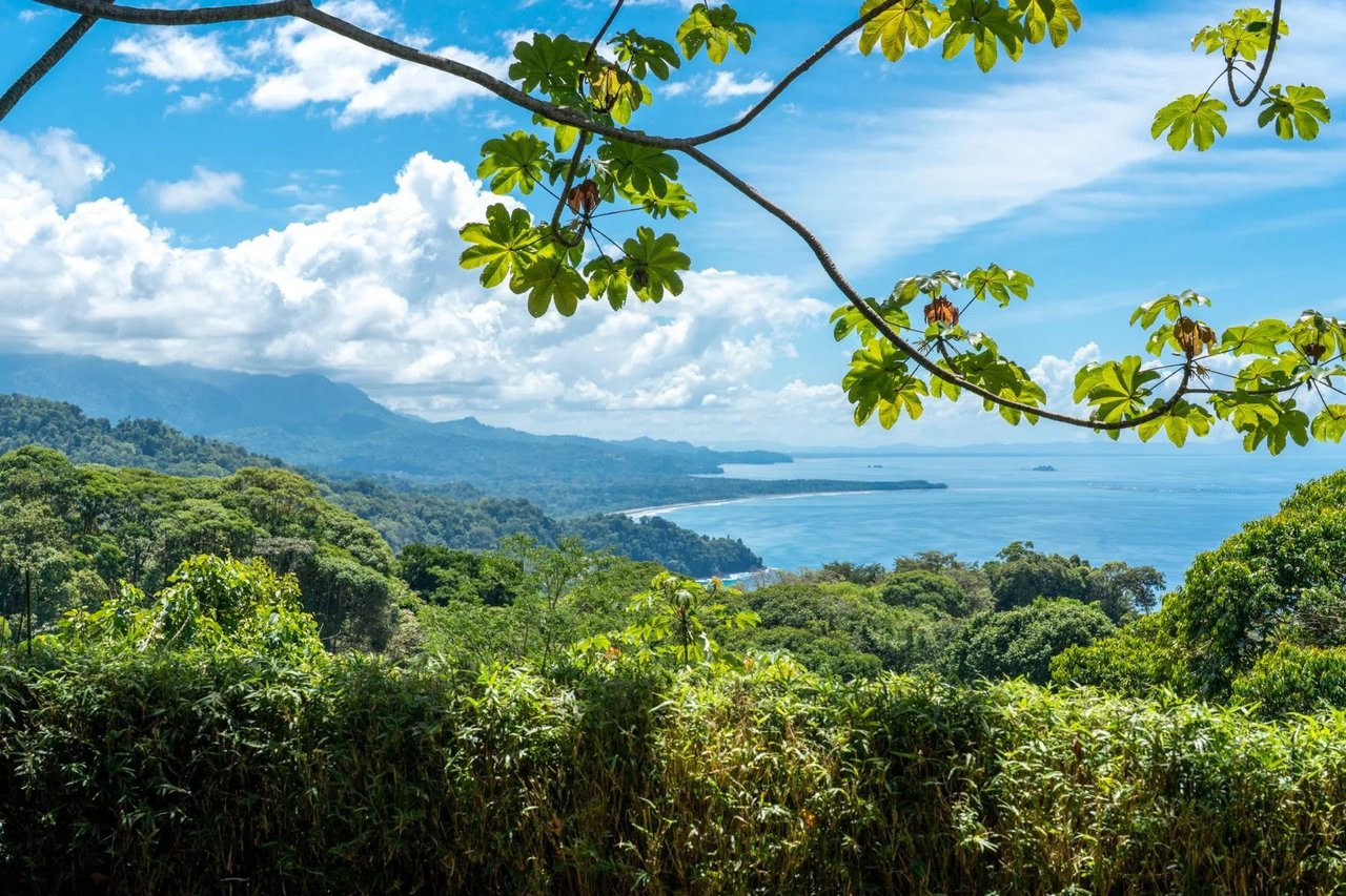 Private Oceanview Jungle Estate, Dominical, Puntarenas