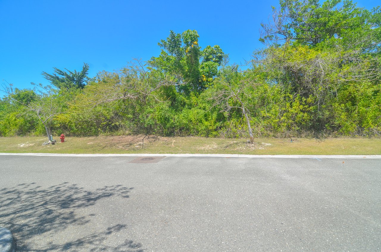 Lot #2 Lyford Hills