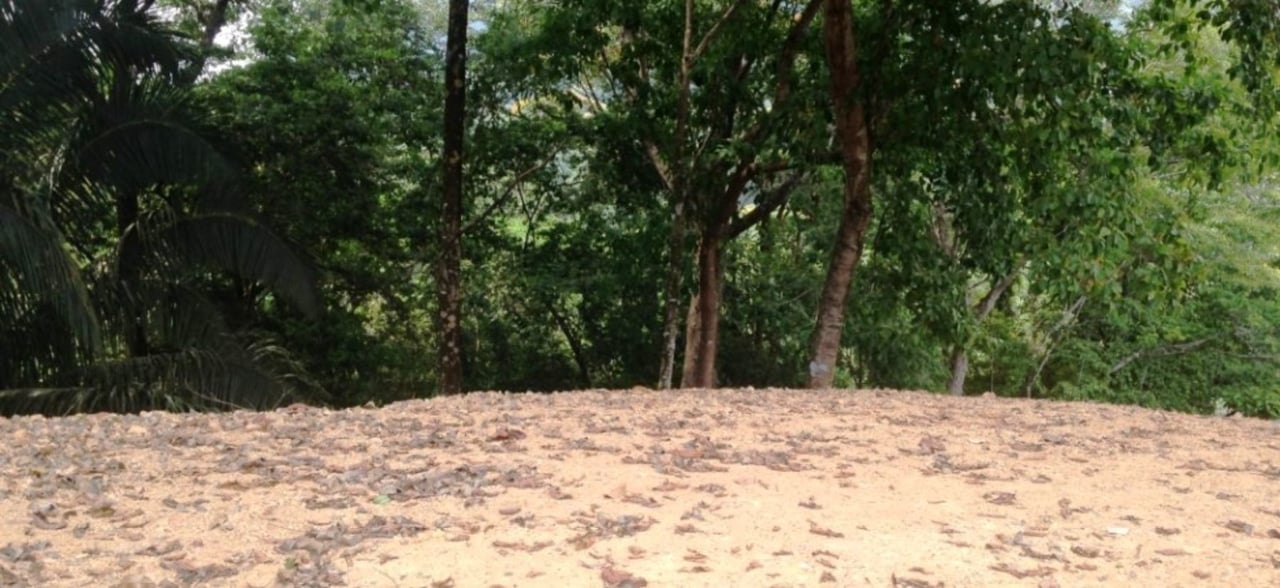 Gated Community Development Lot, Dominical, Puntarenas