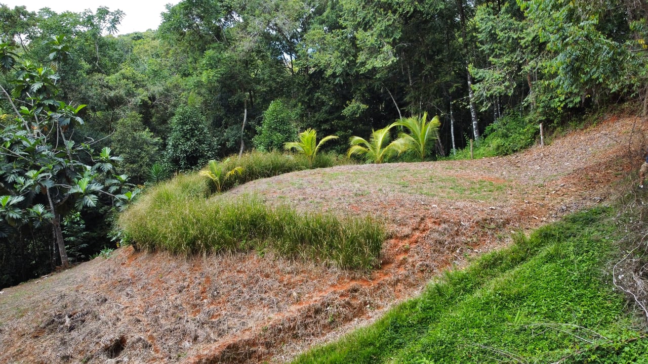 Half Acre Lot in Platanillo, Minutes to the beach of Dominical
