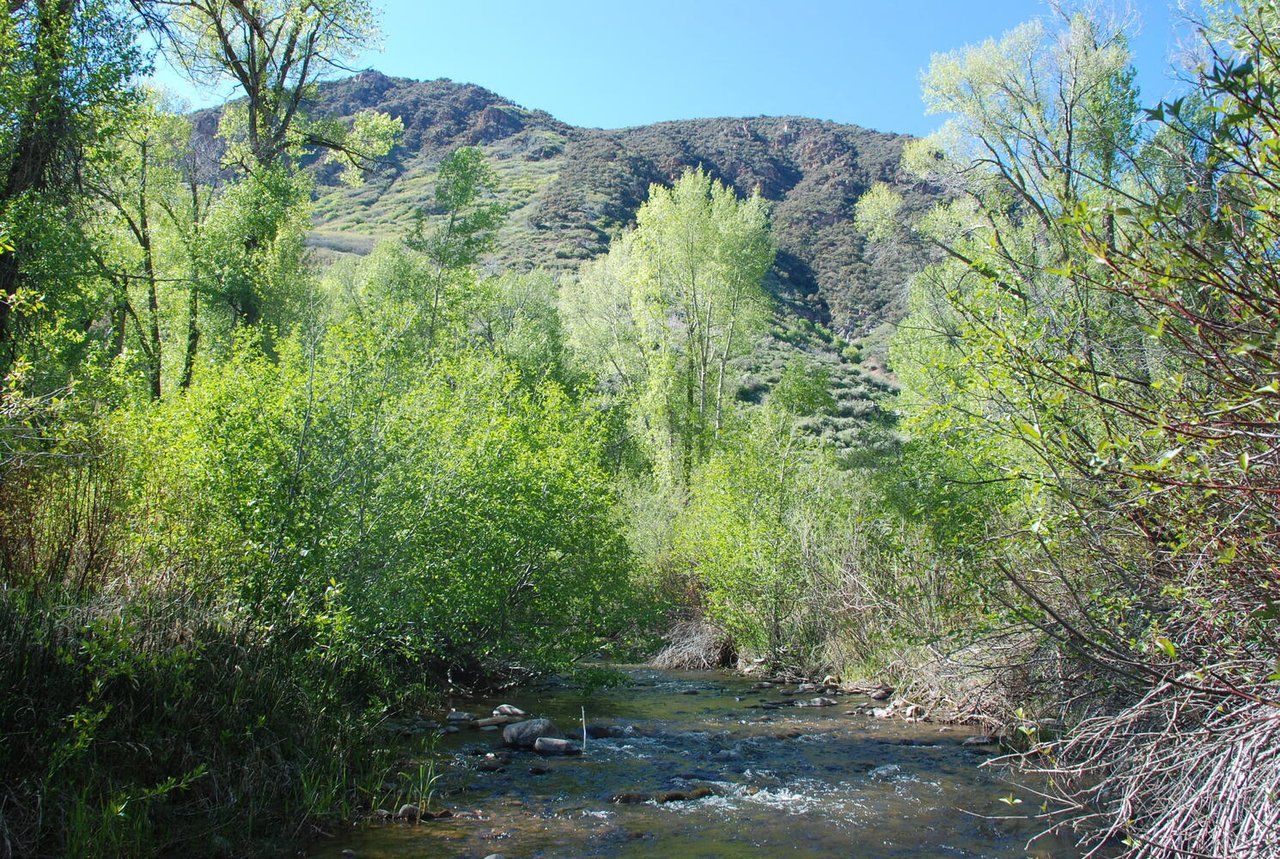 2638 E Weber Canyon Road