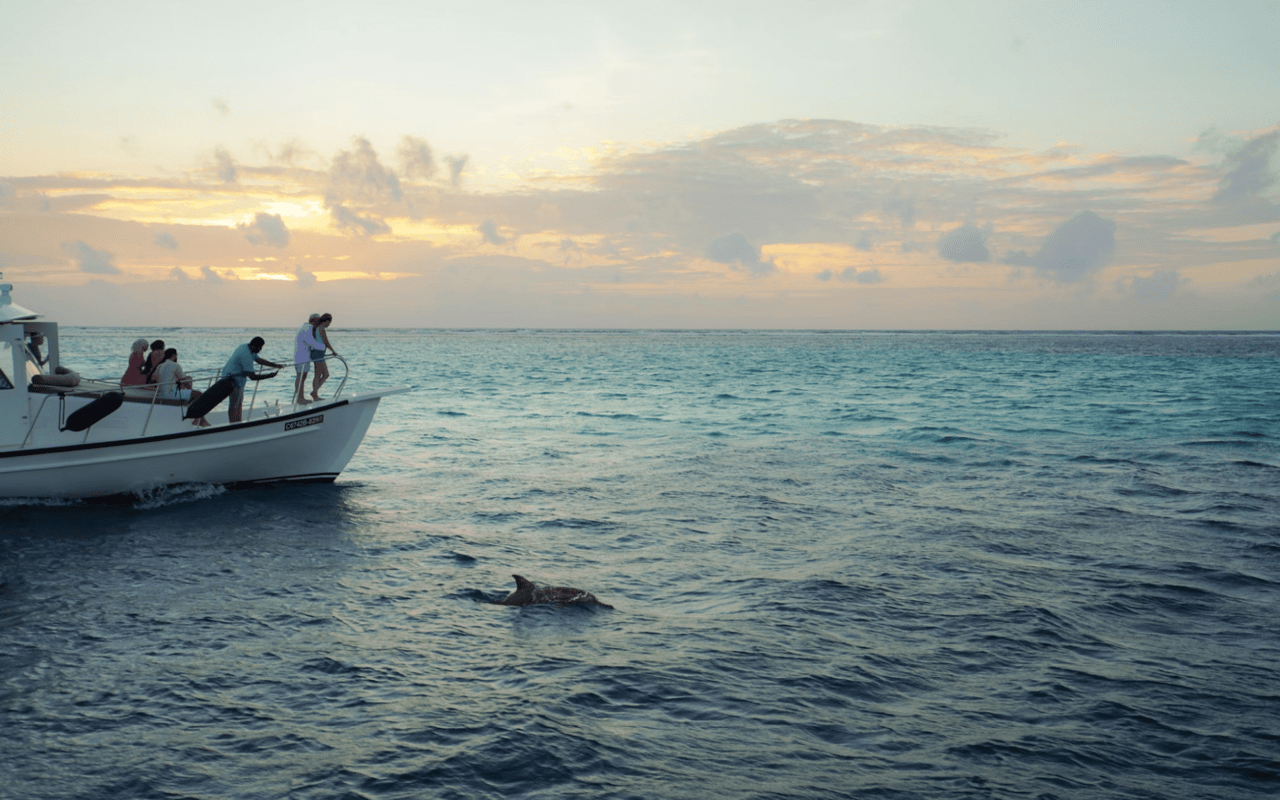 Things to Do in Orange Beach, AL