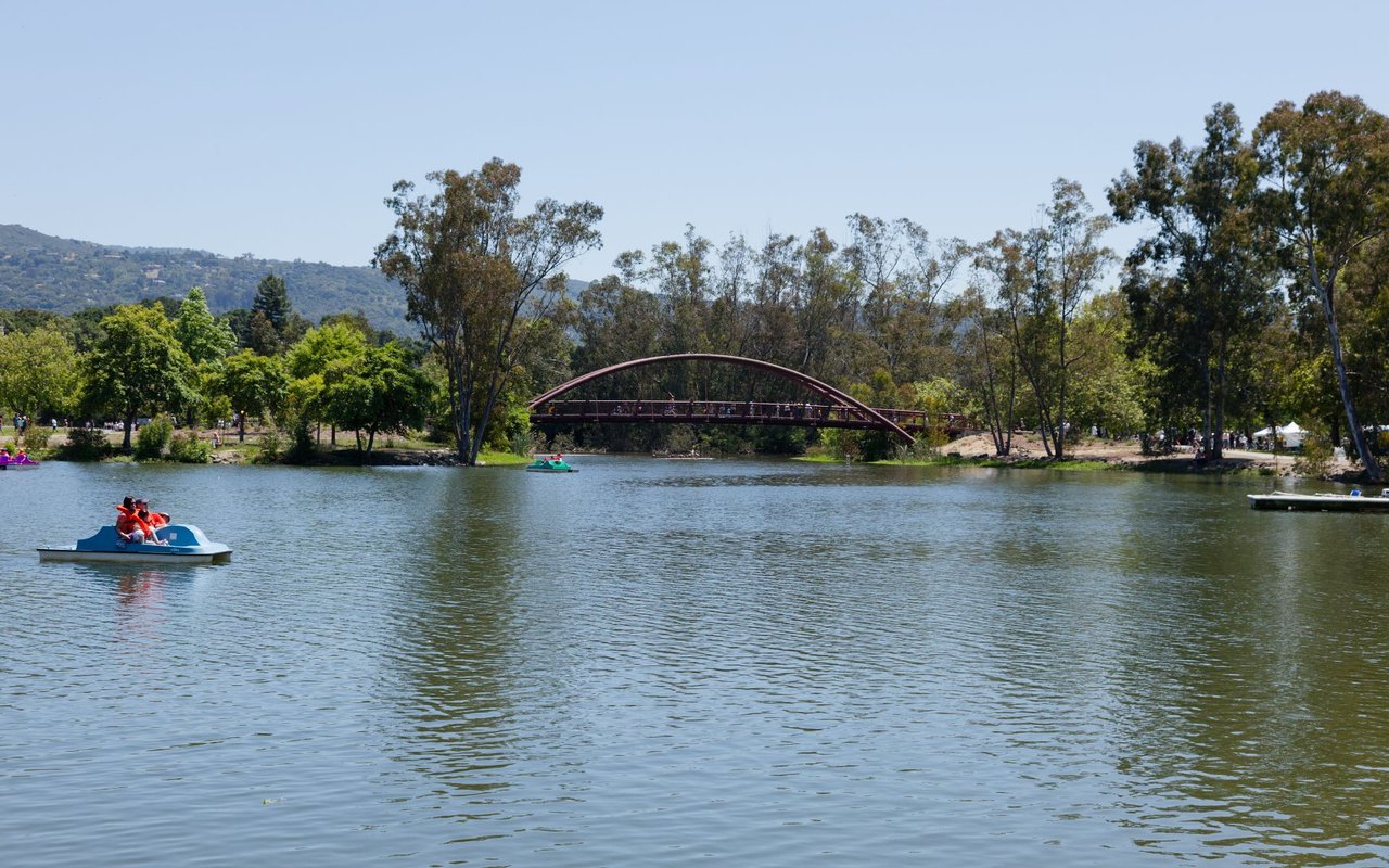 Los Gatos