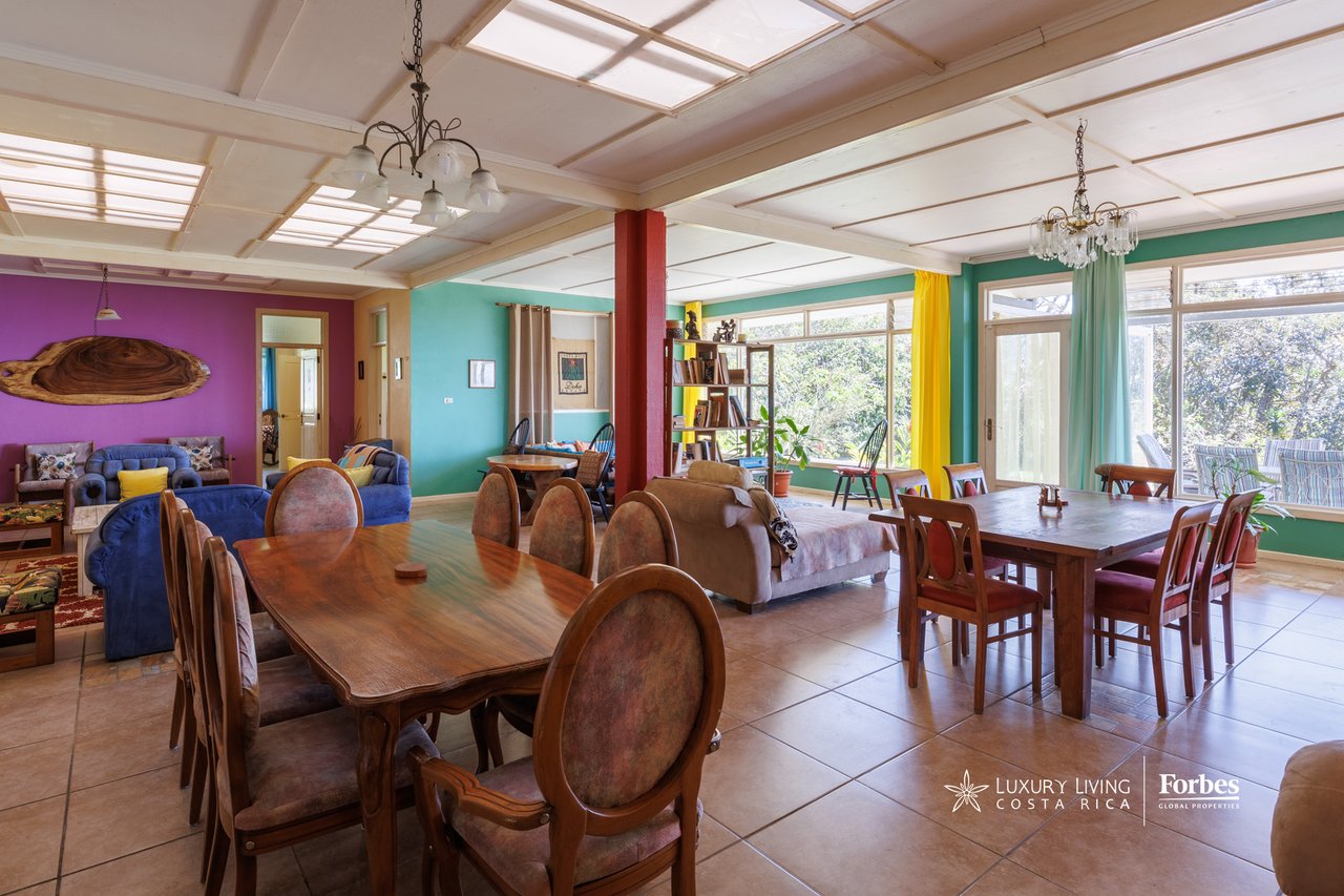 Furnished living and dining area with colorful walls, skylights, and large windows overlooking greenery.