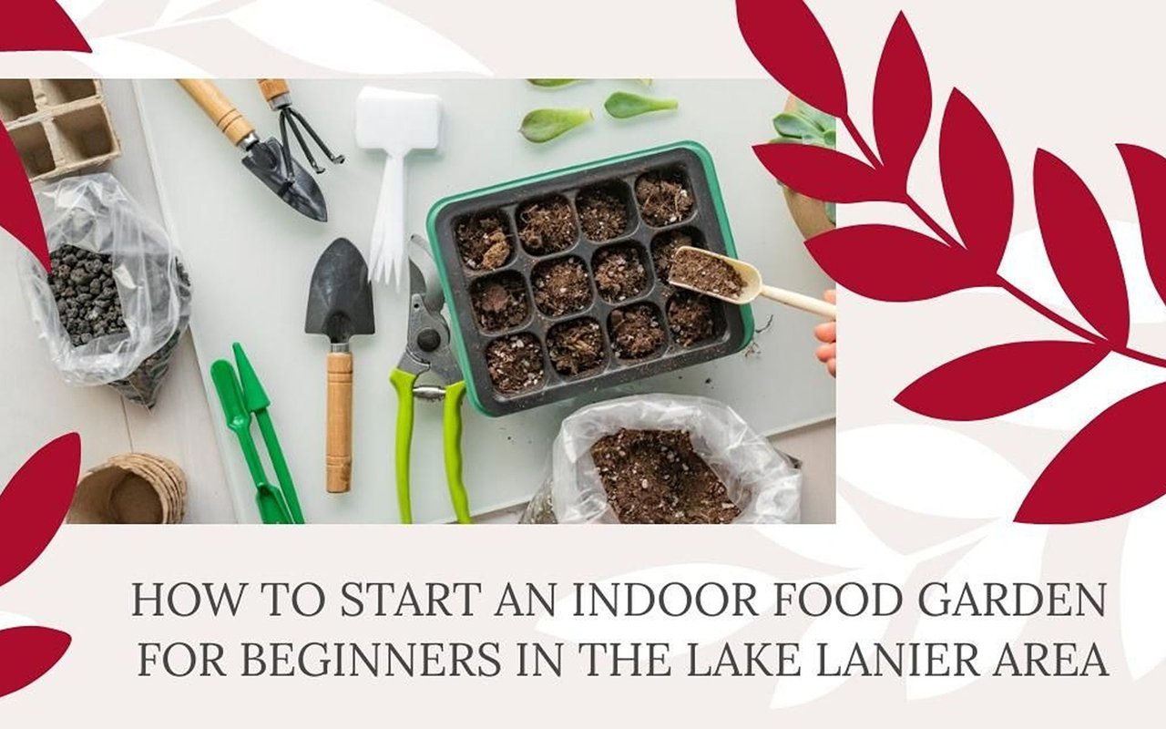 Indoor food gardening guide for Lake Lanier beginners, with a seed tray, potting mix, and gardening tools.