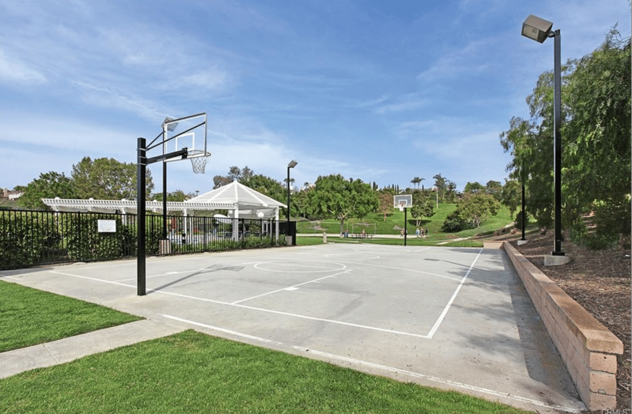 23921 Catbird Court