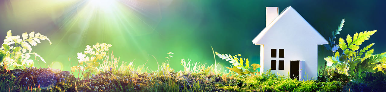 Go Greener at Home