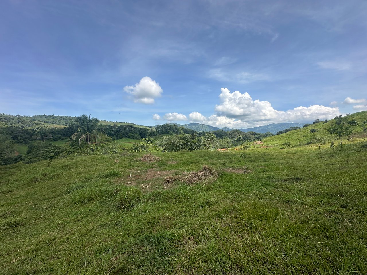 8.78 Acres Mountain View Estate with Water, Infrastructure & Endless Development Potential | Platanillo de Barú, Costa Rica