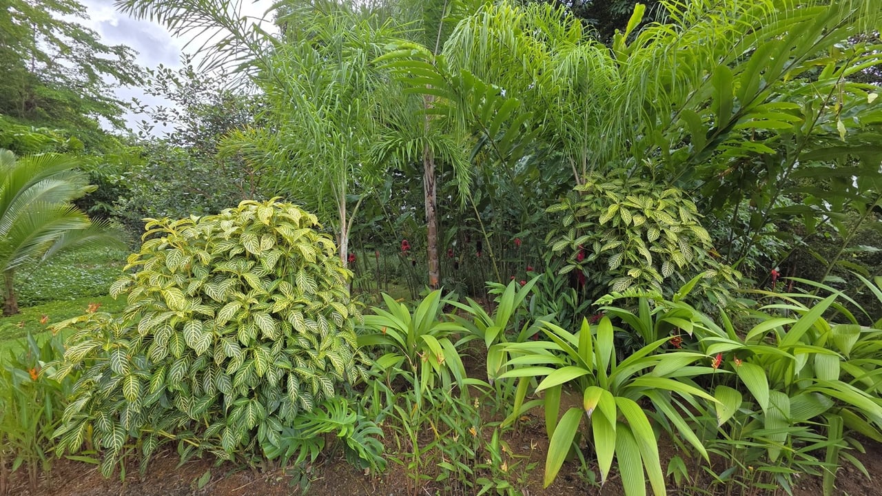 Tropical Turnkey Retreat in Gated Community