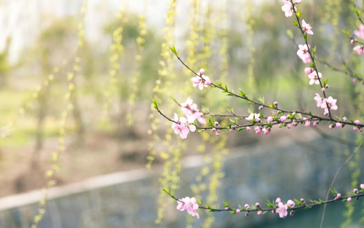 Rising Inventory Means This Spring Could Be Your Moment