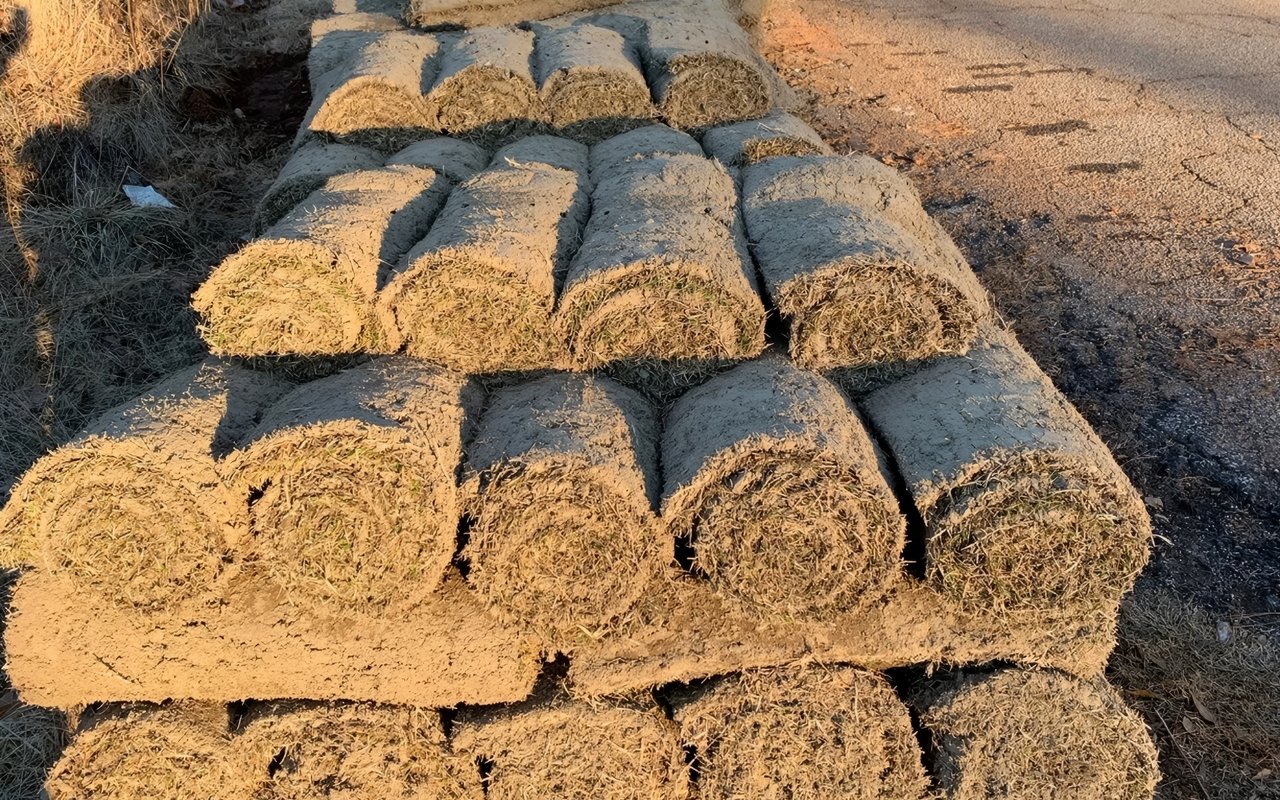 Garden Journal: Getting Out Of the Mud After 2 Years! 12/20/19