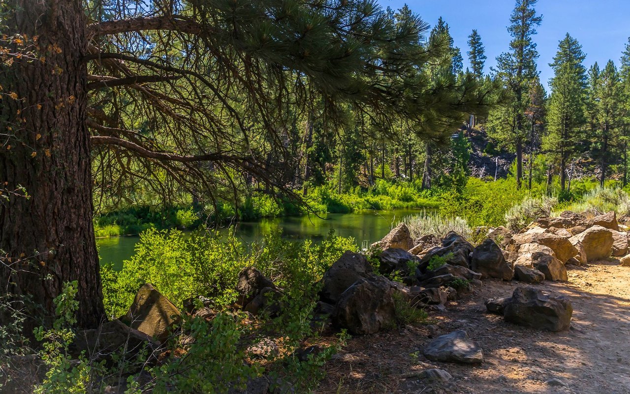 La Pine