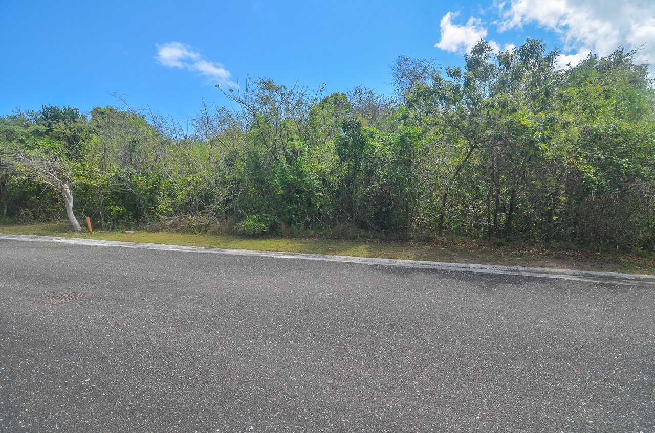 Lot #31 Lyford Hills