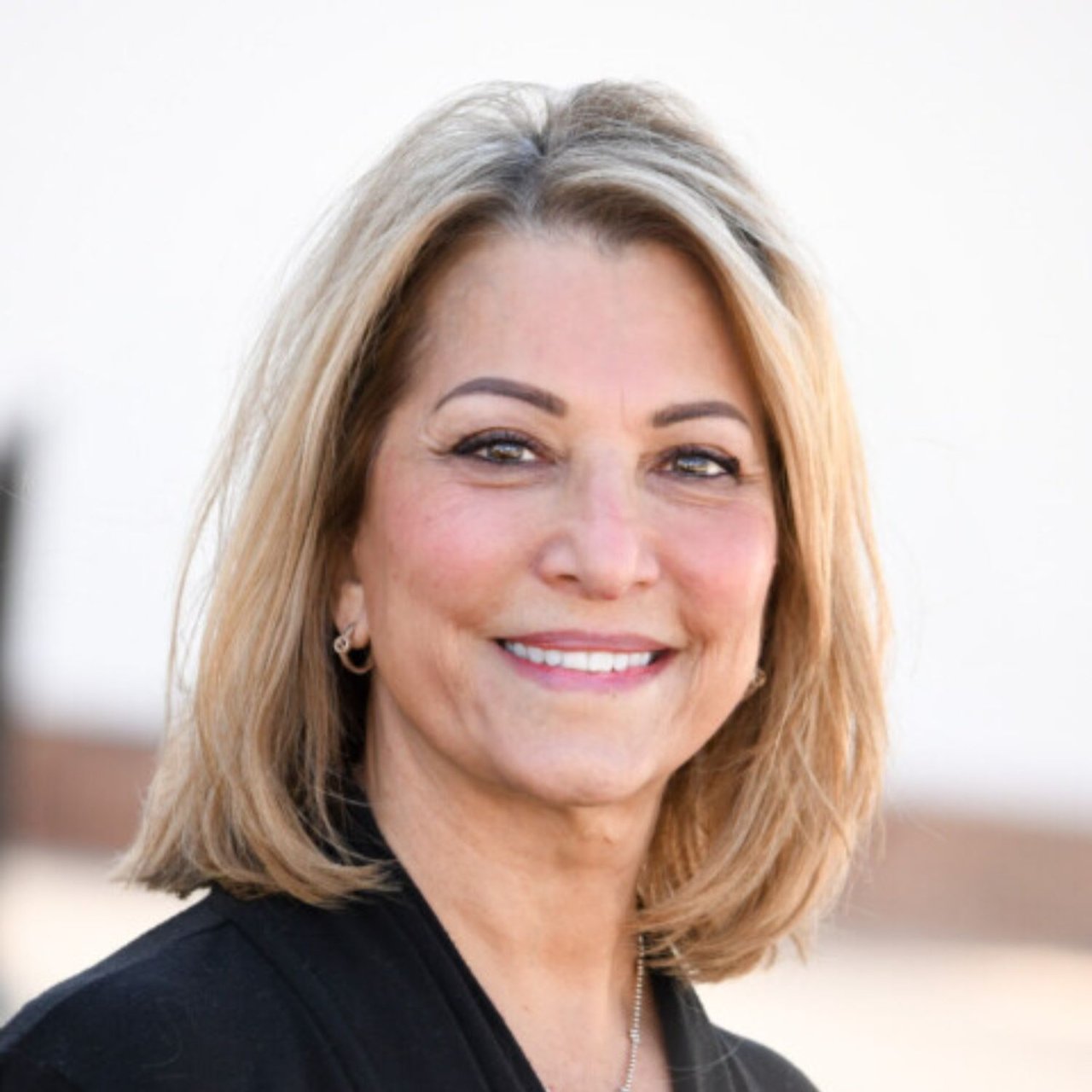 JoAnn Daddono Barrington, IL Real Estate Agent Headshota