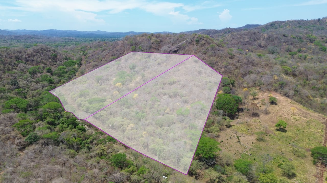10 HECTARES DEVELOPMENT OPPORTUNITY - PUERTO VIEJO CONCHAL