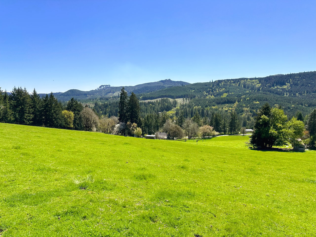 Panther Creek Homestead