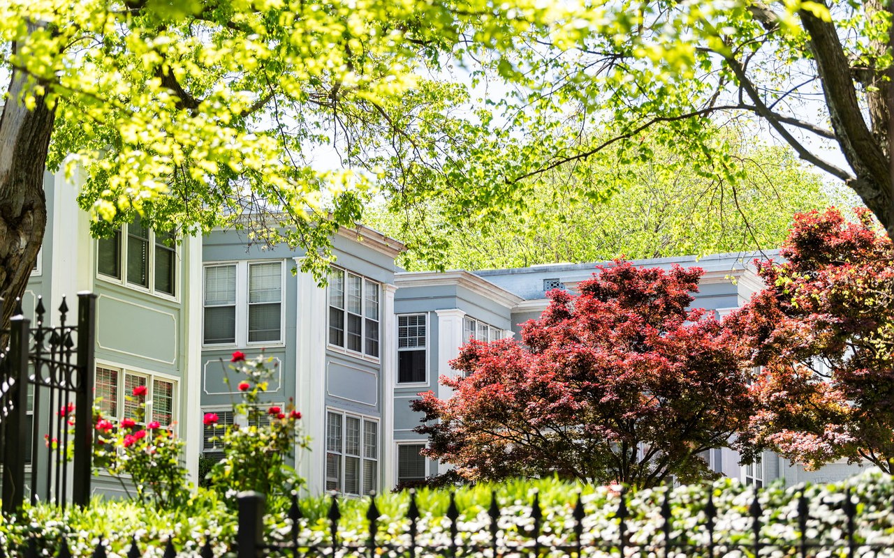 Spring Garden
