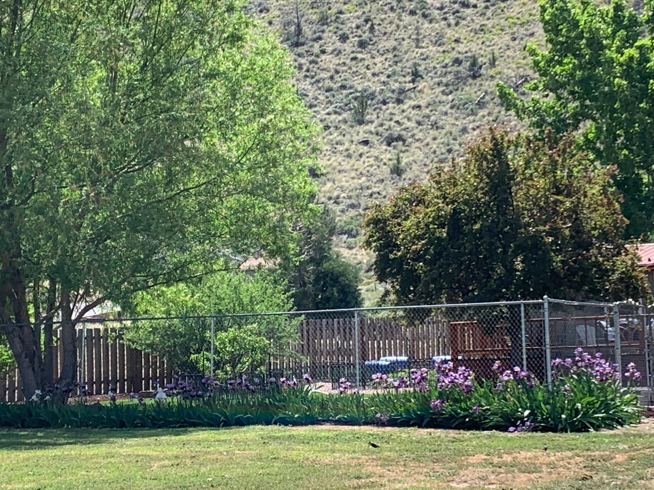 11564 SW Horny Hollow Trail 
