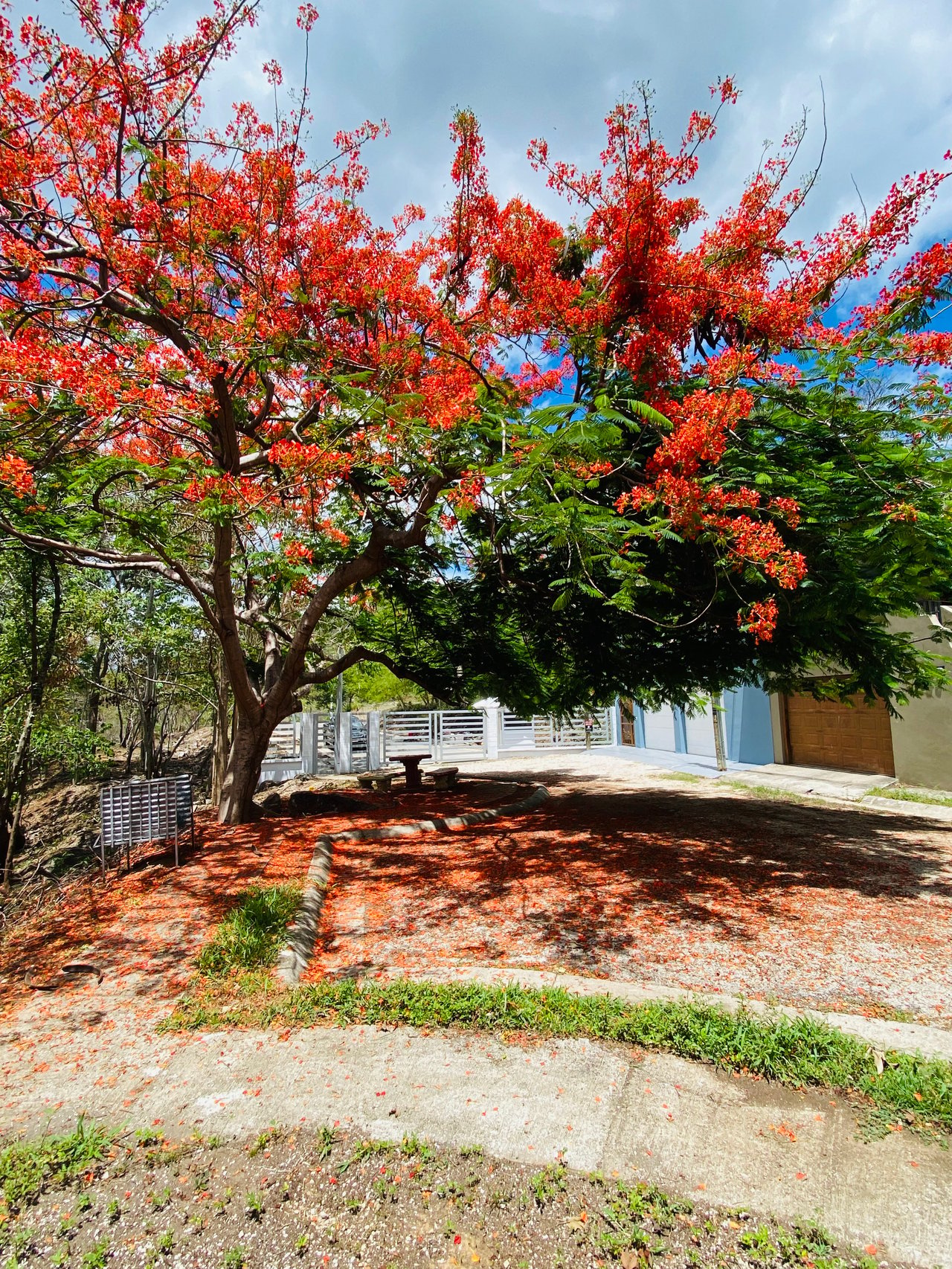 Valle Escondido