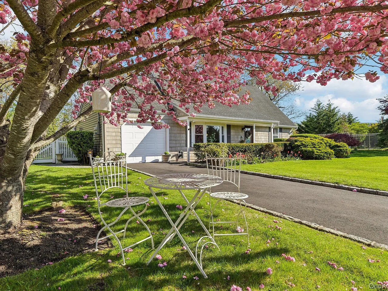 41 Orchid Rd