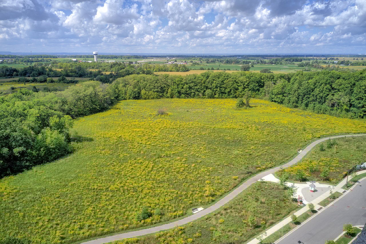 Joshua Meadows image 0