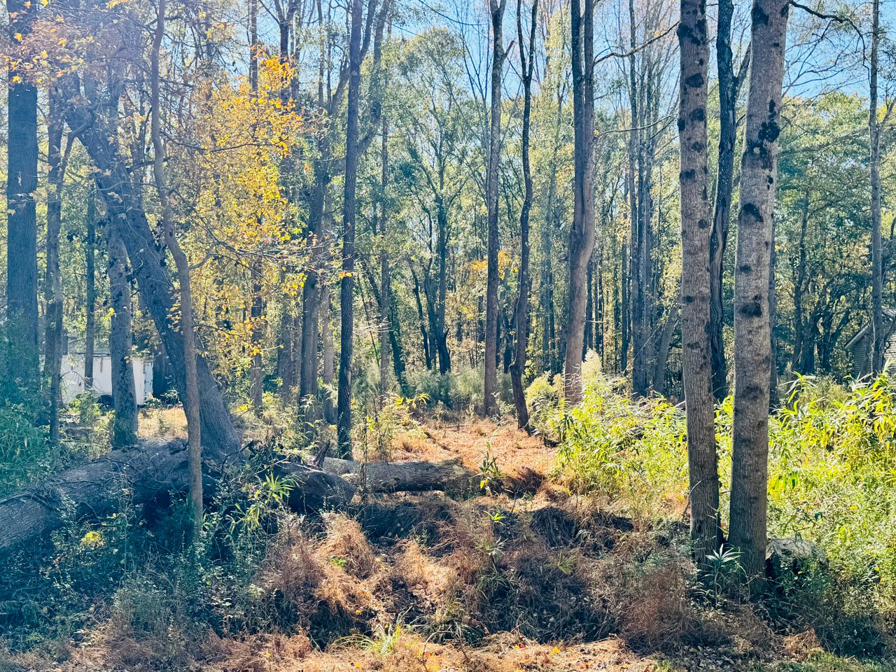 Build Your Dream Home at 231 Green Meadows Circle, Anderson, SC 29625