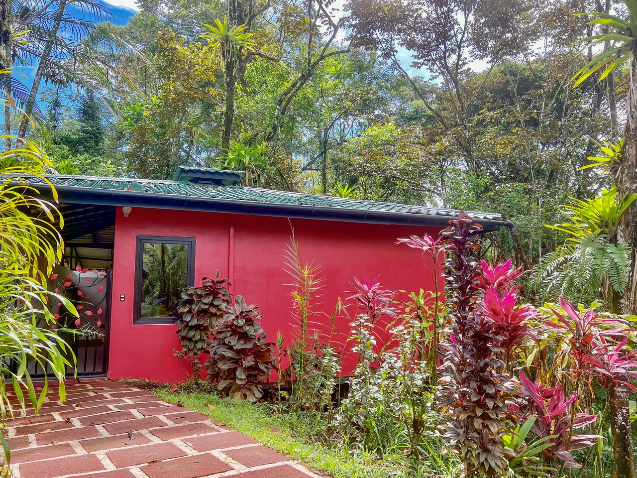 Ojochal Property for Sale – Cabins, Restaurant & 3-Bed Home