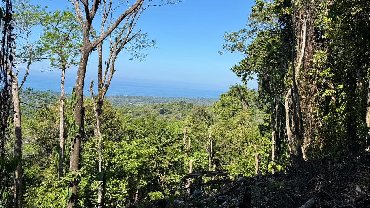 Unique Opportunity, Panoramic Ocean Views of the Whale's Tail Beach!