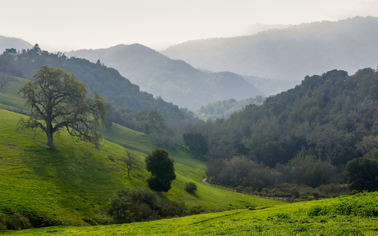 Los Altos Hills