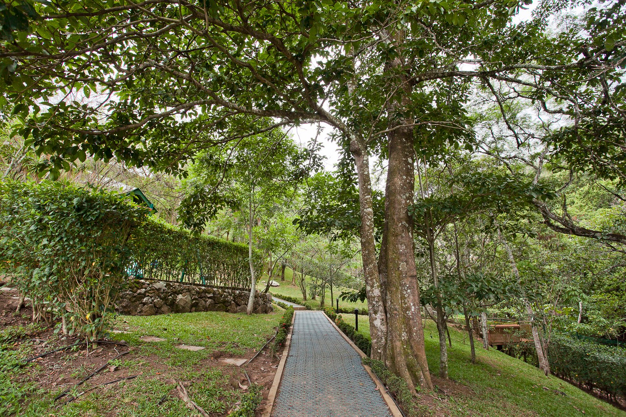 Panoramic Rooftop Penthouse, Escazu, San Jose