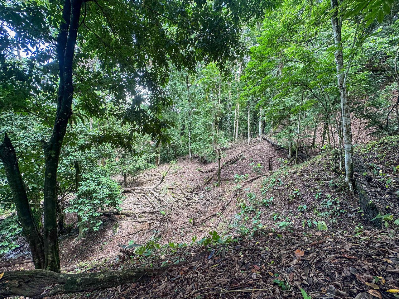 Prime 9.4-Acre Ocean View Land in Golfito