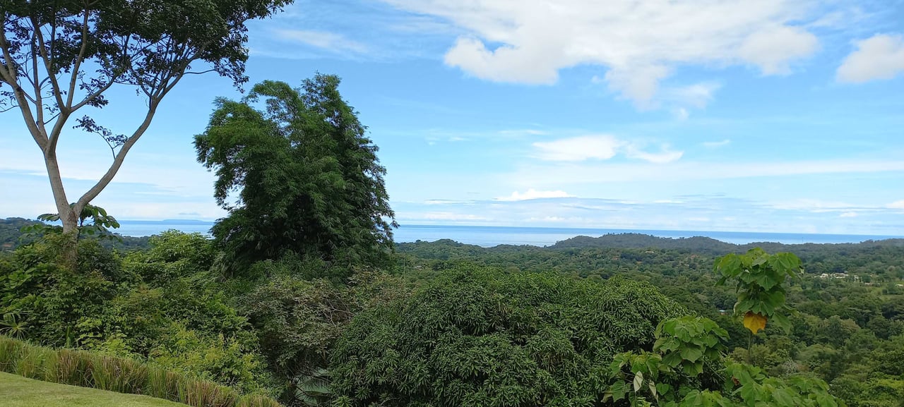 Elegant Estate with Ocean & Jungle Views