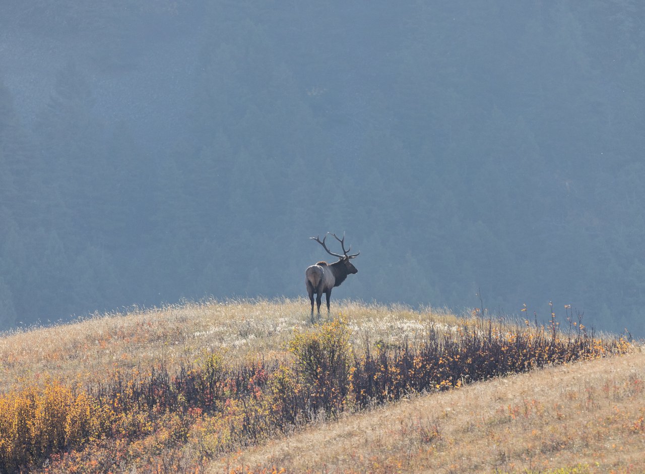 Box Elder Ranch