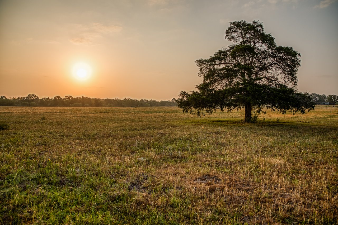 Revival Ranch TX