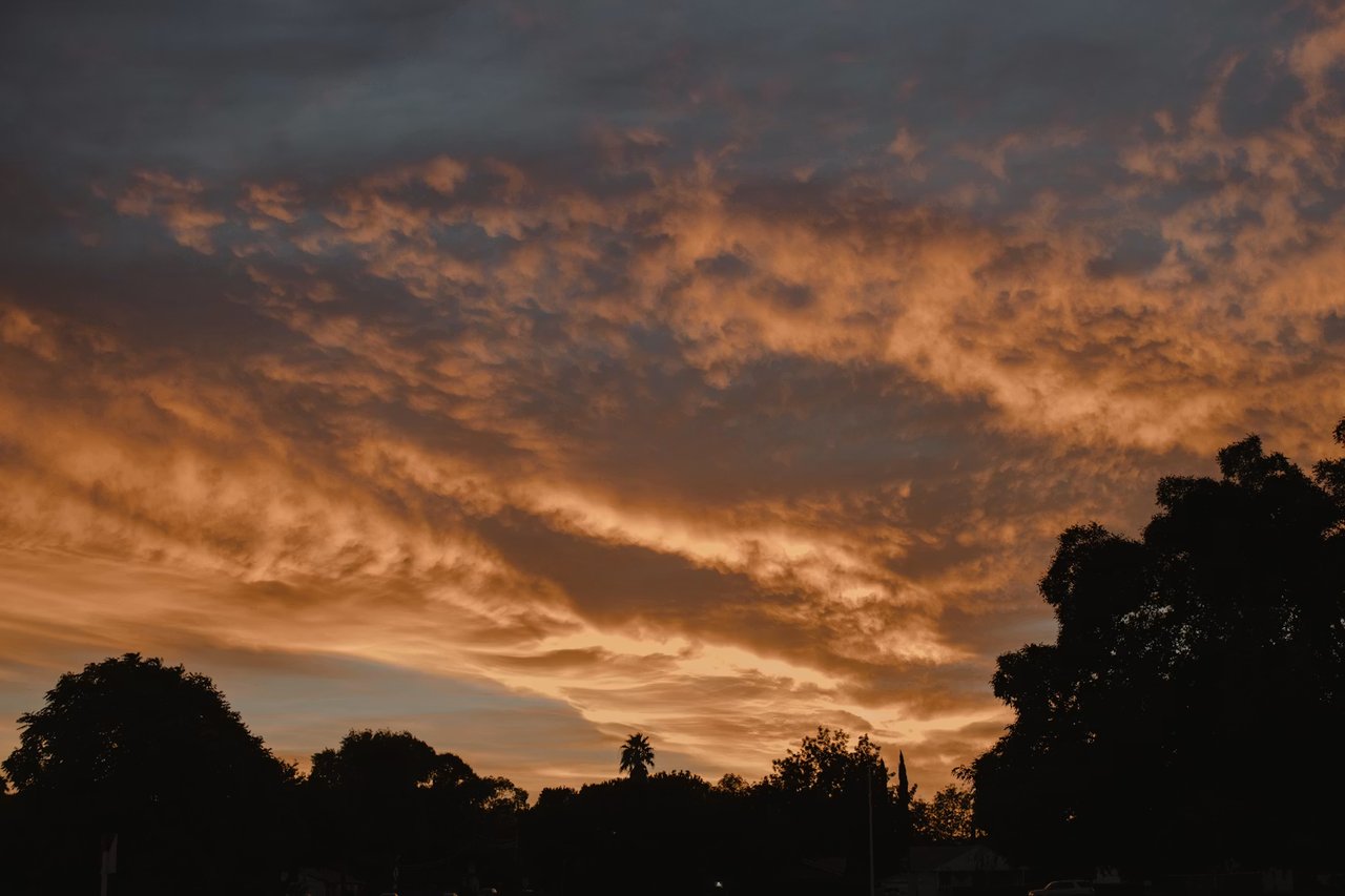 Love Where You Live: What Makes Brentwood So Special