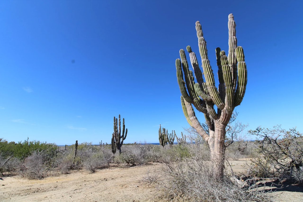 Ranchito Ellias Calles