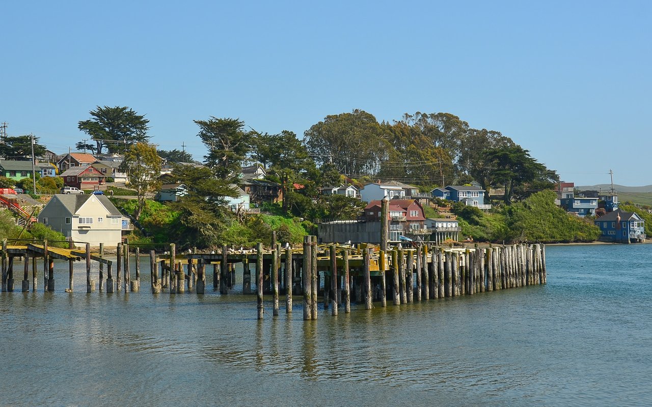 Bodega Bay