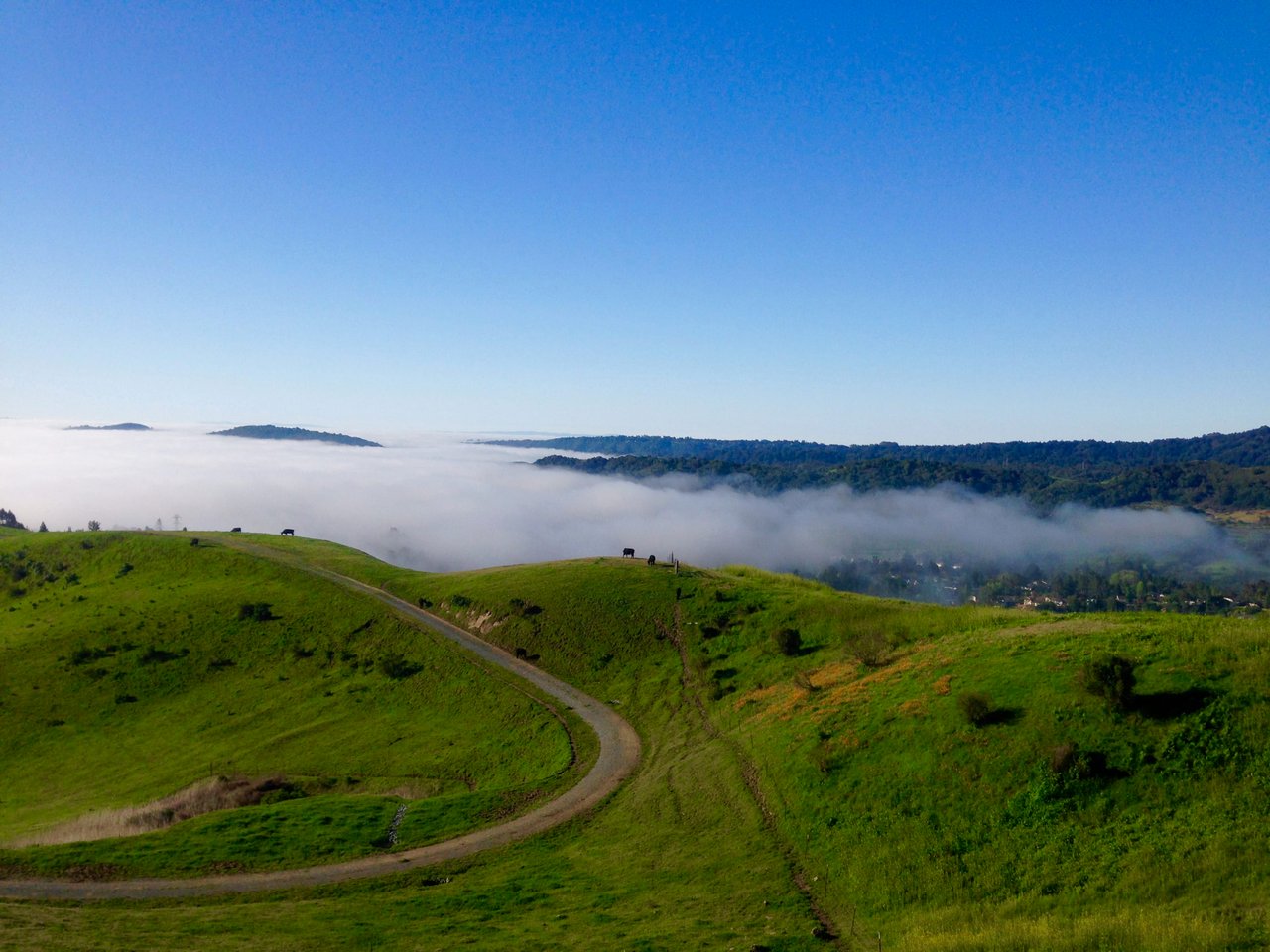 Orinda