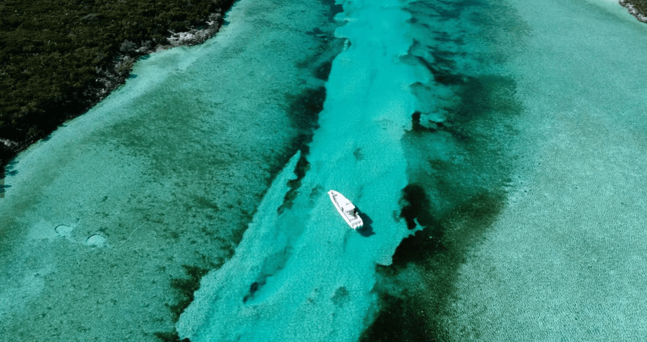 Roberts Cay