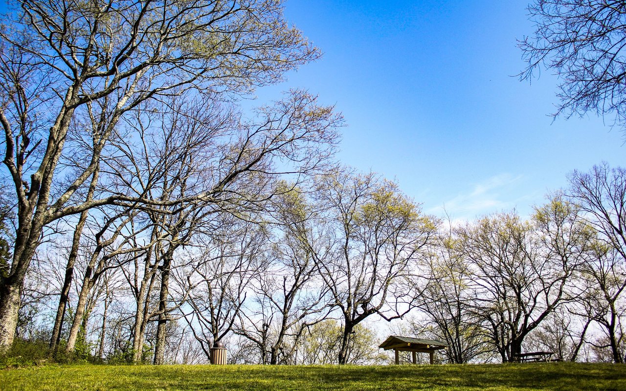 Mt. Juliet