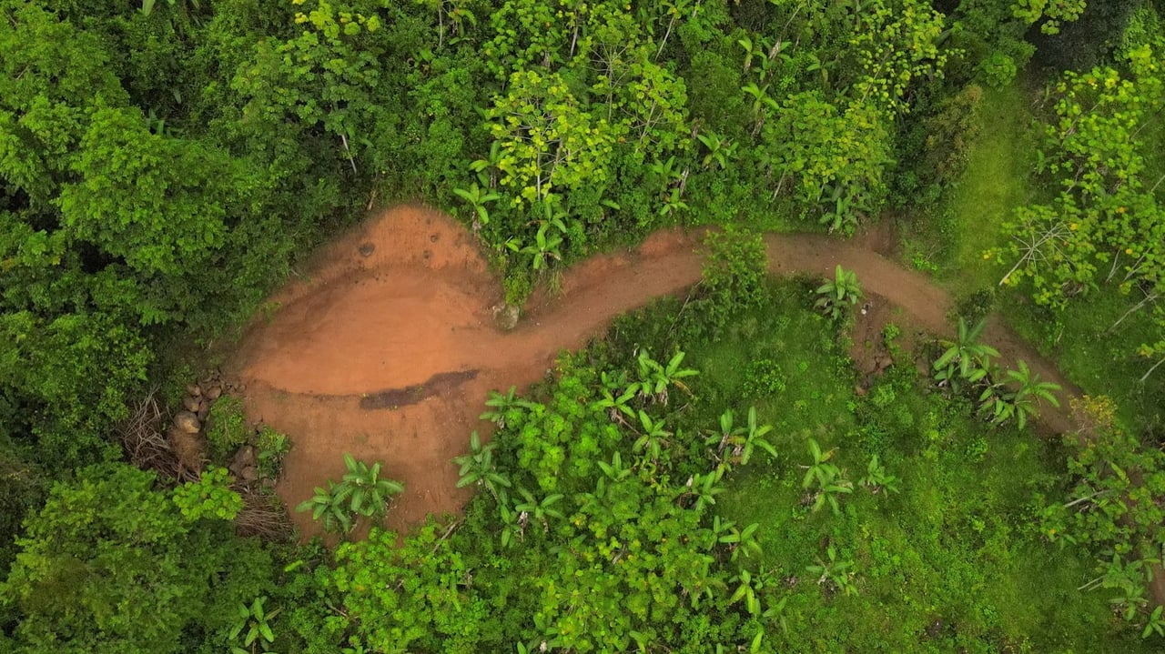 Mountain View Land with Several Building Sites and Mature Fruit Trees