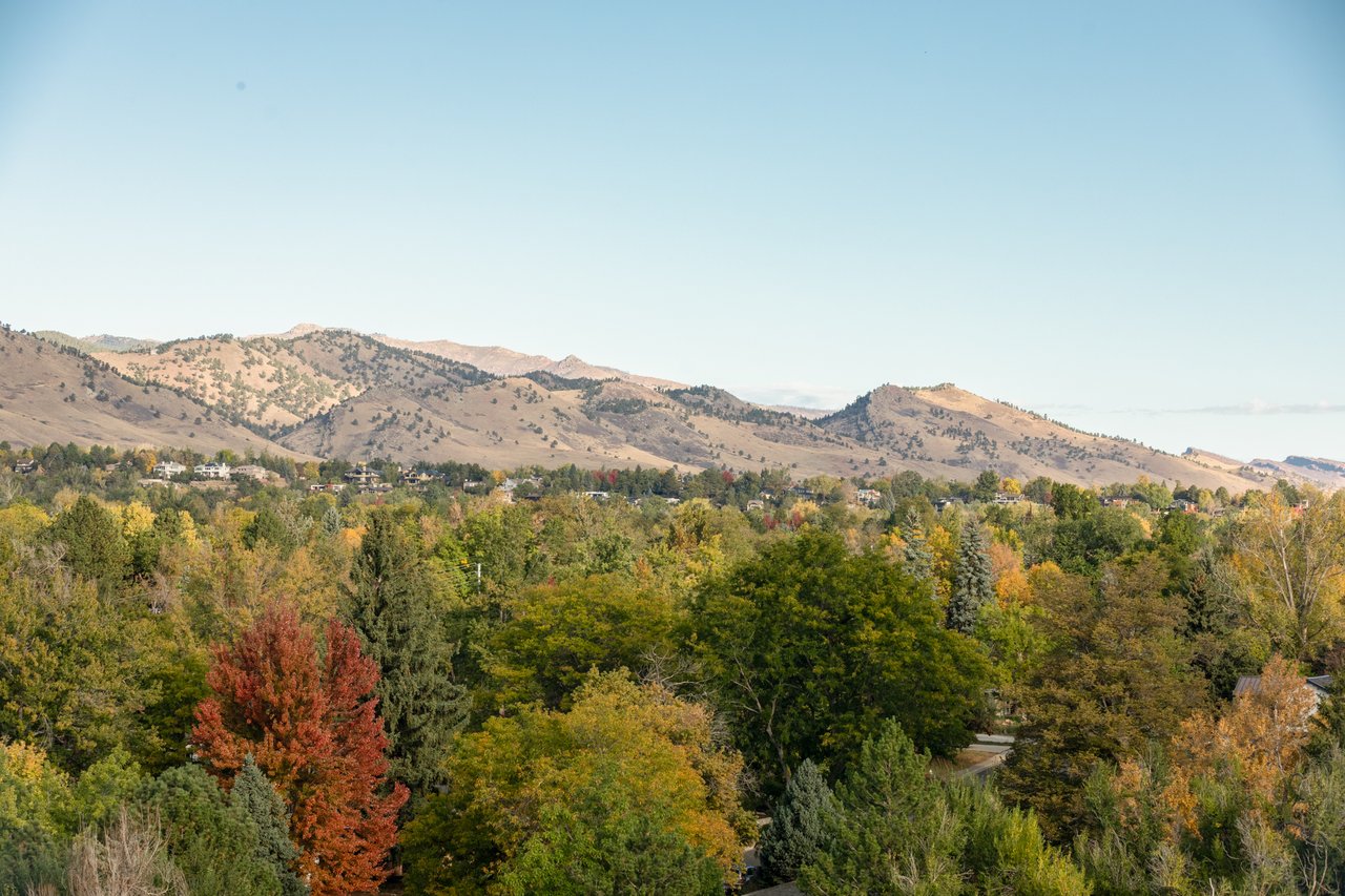 Aerial view north from 2003 Balsam Drive over a fall tree canopy toward the Boulder foothills